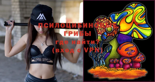 крисы Абинск