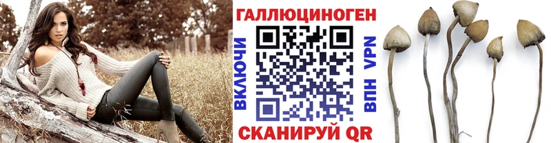 Галлюциногенные грибы Magic Shrooms купить наркотики цена Димитровград