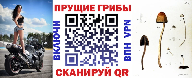 Псилоцибиновые грибы мухоморы Димитровград